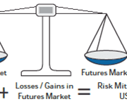 Hedging using Currency Derivatives