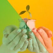 Monthly Market Updates