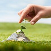 Wealth News Letter 2020