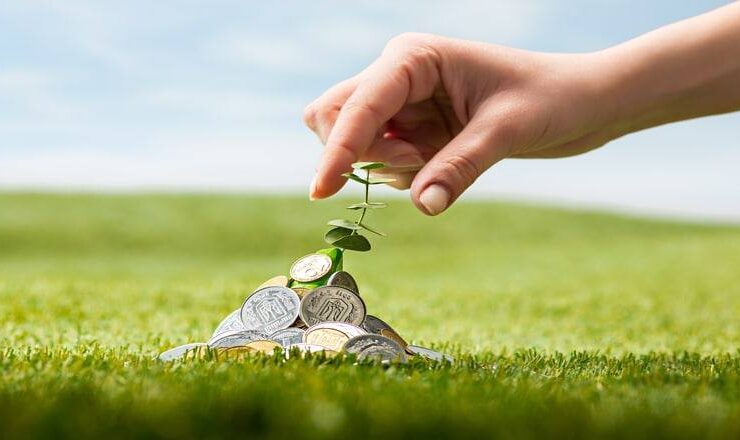 Wealth News Letter 2020