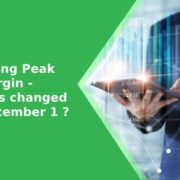 Sebi's Peak Margin rules