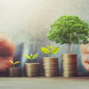 Wealth News Letter Update December