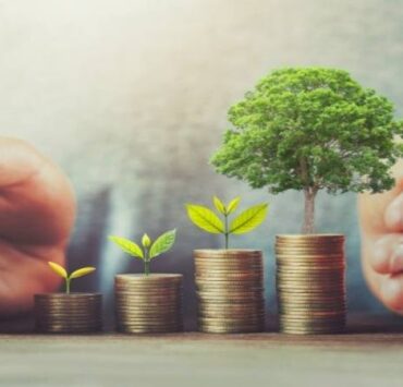 Wealth News Letter Update December