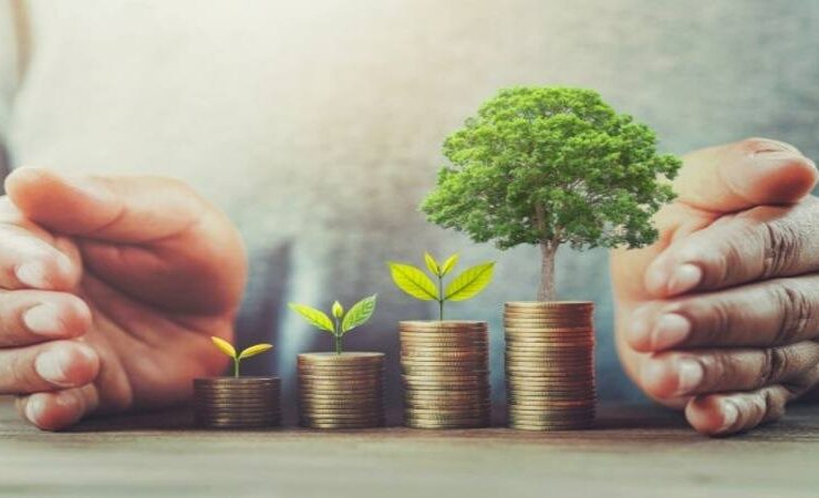 Wealth News Letter Update December