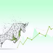 Investors smile as warring countries talk