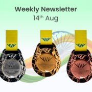 Indian Stock Market Weekly Wrap Up