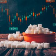 Indian Stock Market Weekly Update