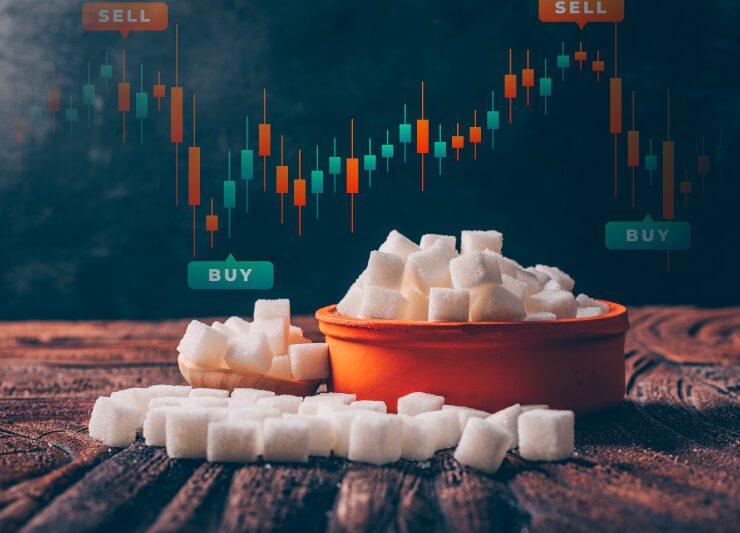 Indian Stock Market Weekly Update