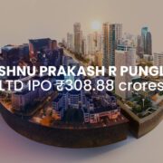 Vishnu Prakash R Punglia IPO