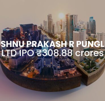 Vishnu Prakash R Punglia IPO