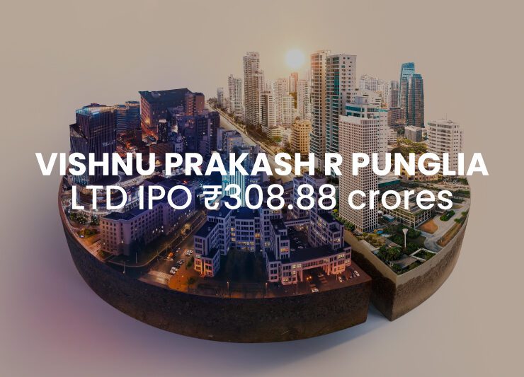 Vishnu Prakash R Punglia IPO